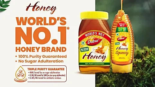 Dabur Honey - 500gm