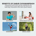 Dabur Chyawanprash - 1kg